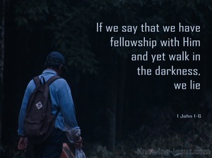 1 John 1:6